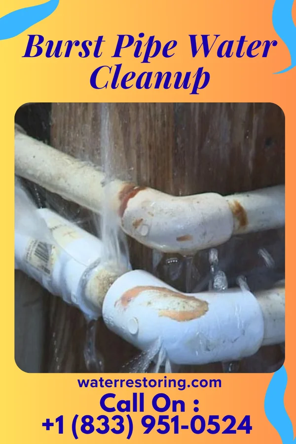 Burst Pipe Water Cleanup in Lawrenceville, VA