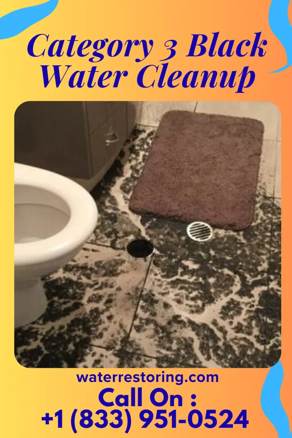 Category 3 Black Water Cleanup in Lawrenceville, VA