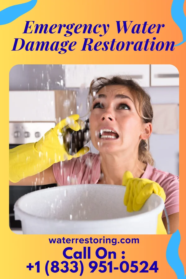 Emergency Water Damage Restoration in Lawrenceville, VA