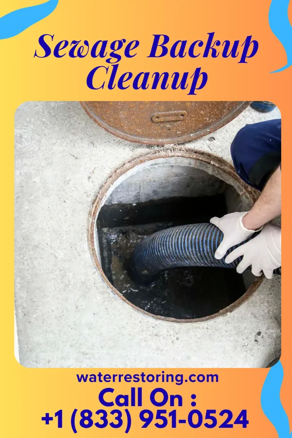 Sewage Backup Cleanup in Lawrenceville, VA