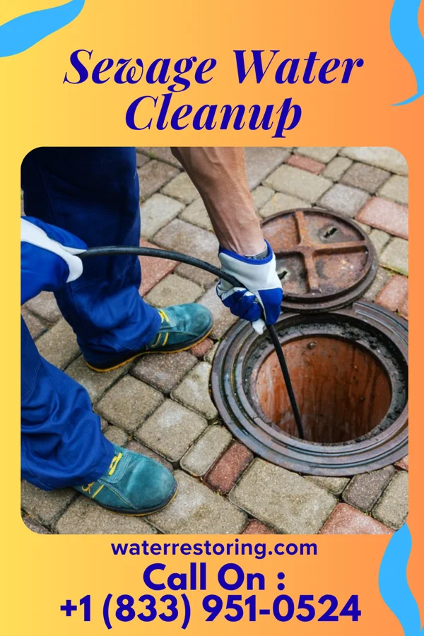 Sewage Water Cleanup in Lawrenceville, VA